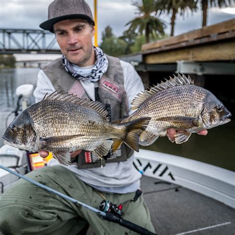 Bream Fishing & How to Catch Them .